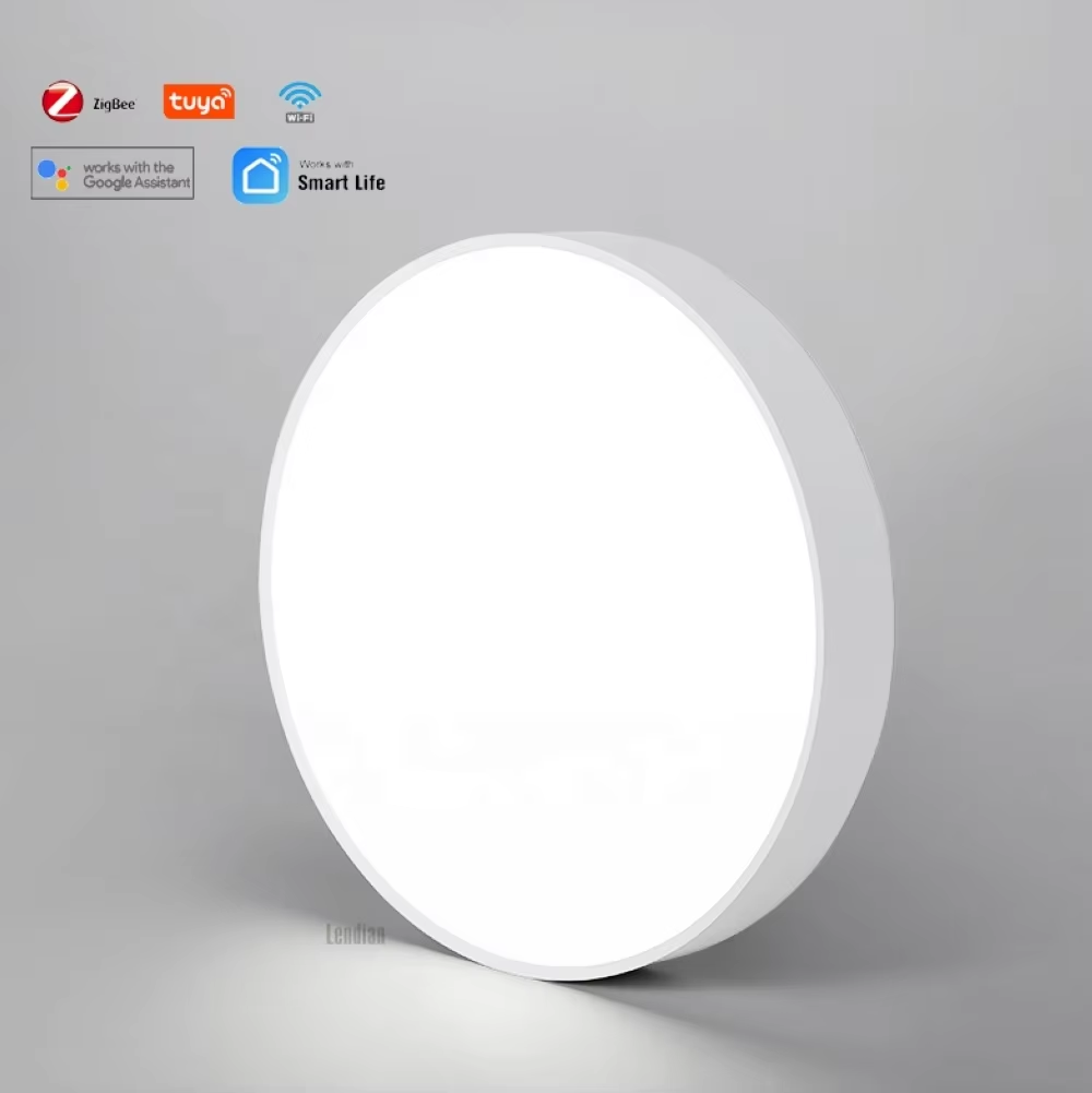 Ring or Flat ceiling mount light A.png