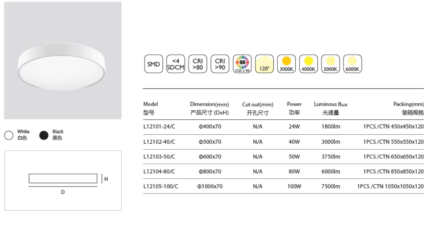 Ring or Flat ceiling mount light J.png