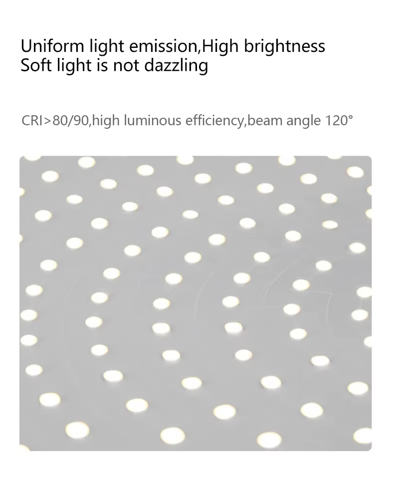 Ring or Flat ceiling mount light H.png