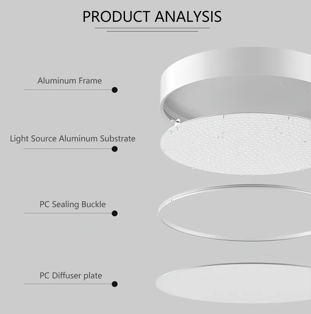 Ring or Flat ceiling mount light F.png