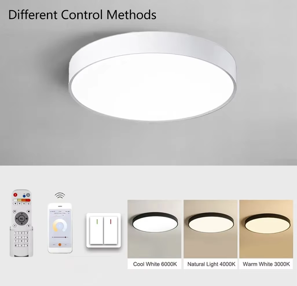 Ring or Flat ceiling mount light E.png