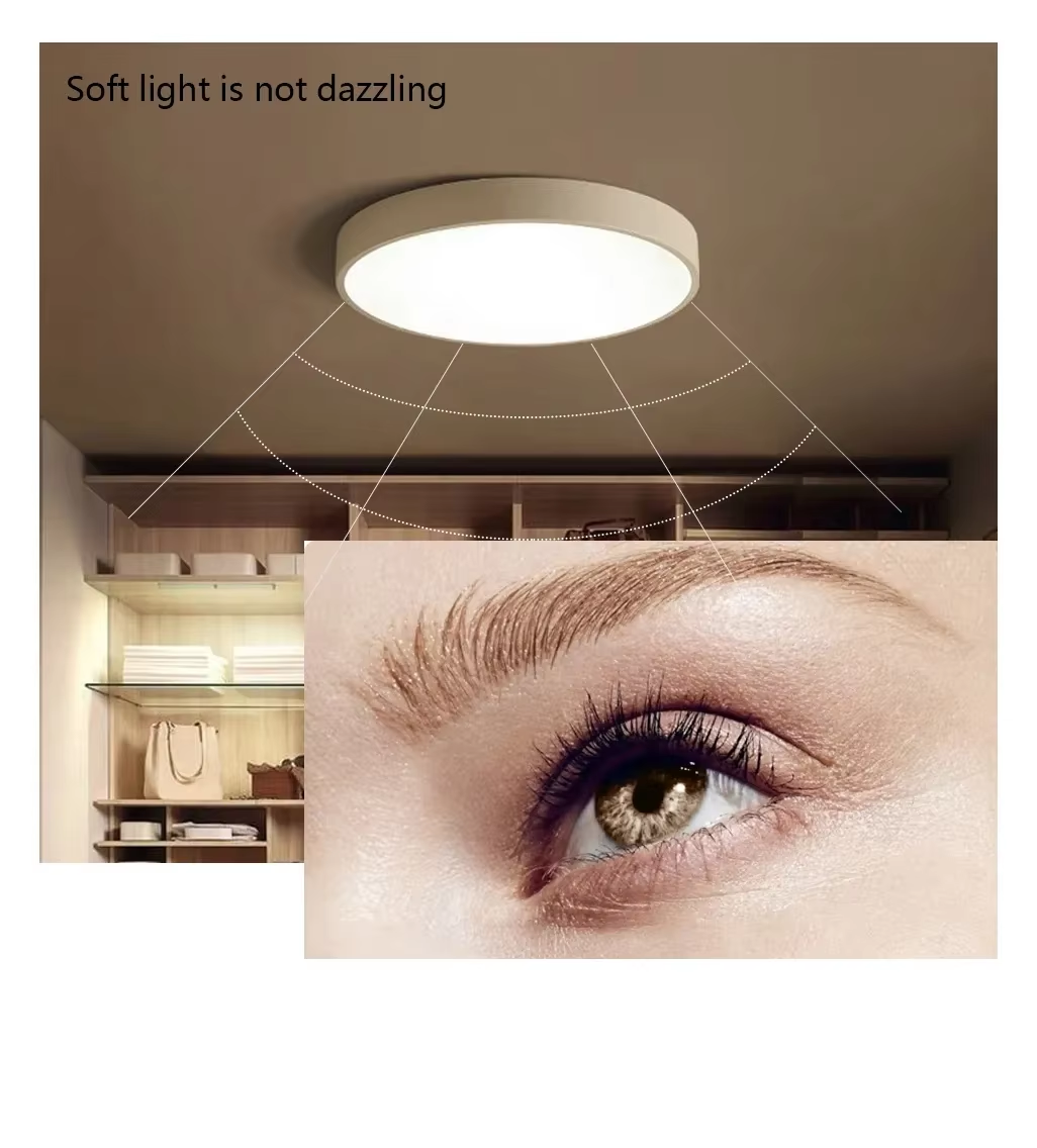 Ring or Flat ceiling mount light G.png